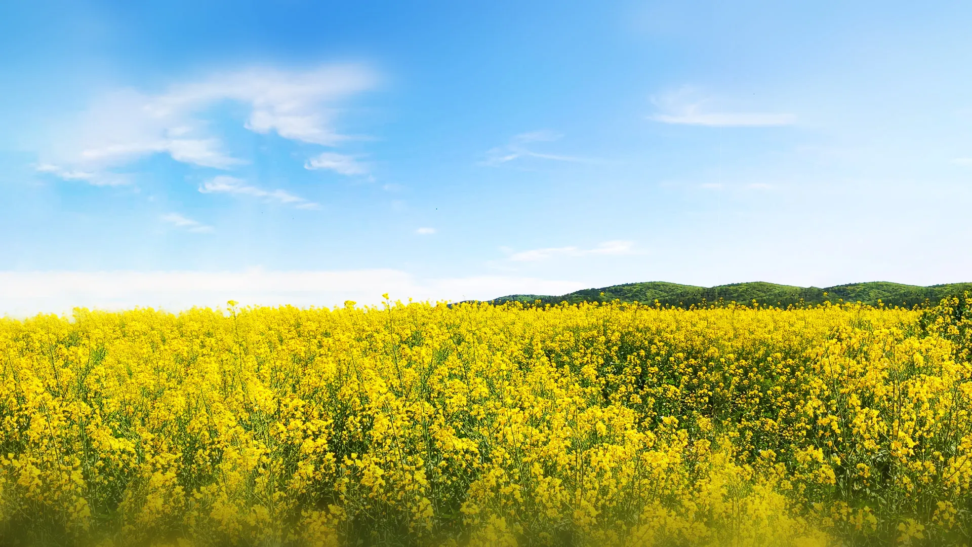 Wsparcie w terapii uzależnień